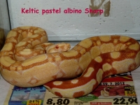 1,0 Keltic